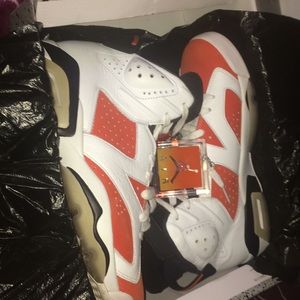 Jordan retro 6 Gatorade